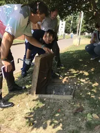 Se impregna un veneno en alimento que ingieren las cucarachas