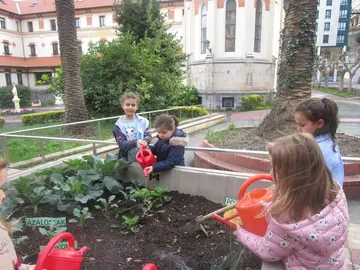 Dentro del proyecto Agenda 21