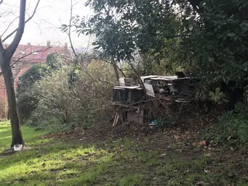 Se busca el equilibrio entre el bienestar animal y la salud pública