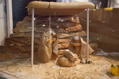 56 escaparates han participado en esta edición