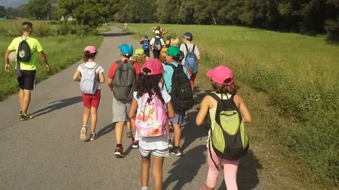 Se celebran cada año