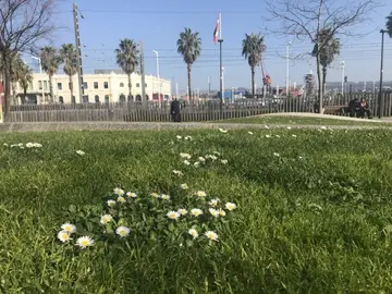 Se trata de un plan de acción junto al Gobierno vasco