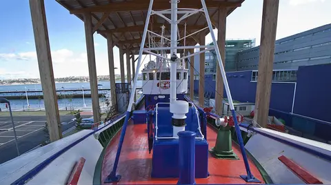 El Consistorio será quien desarrolle los proyectos y 
para ello recibirá una partida de 315.000 euros