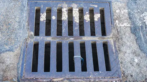 control-plagas-santurtzi