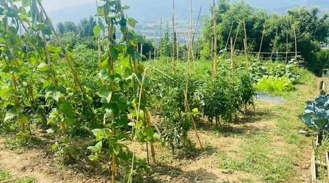 huertos-urbanos-santurtzi