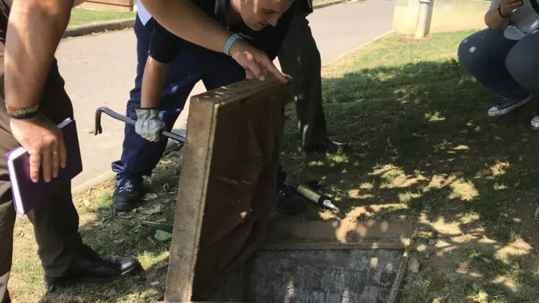 Se impregna un veneno en alimento que ingieren las cucarachas