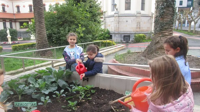 Dentro del proyecto Agenda 21