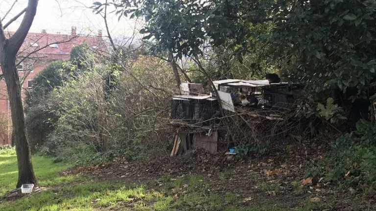 Se busca el equilibrio entre el bienestar animal y la salud p&uacute;blica