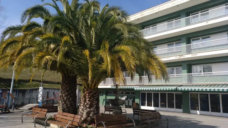 Se pondr&aacute; en funcionamiento a la mayor brevedad posible