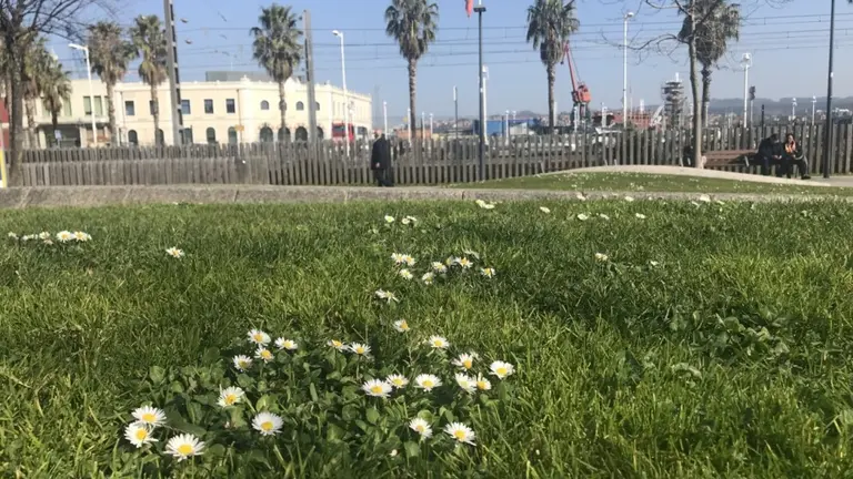 Se trata de un plan de acci&oacute;n junto al Gobierno vasco