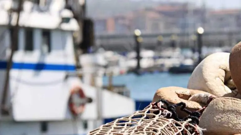 Las visitas a la página web han incrementado un 48,16%