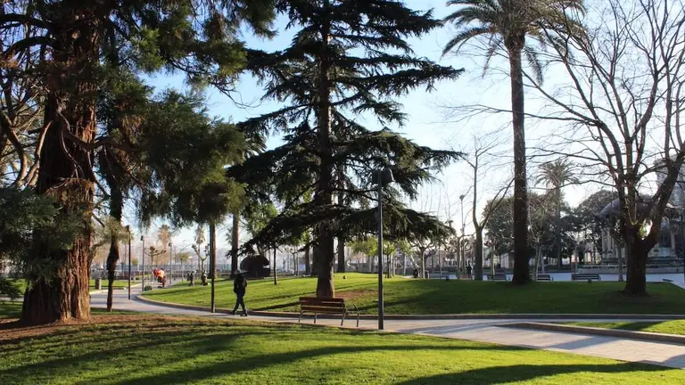 podemos-arbolado-santurtzi