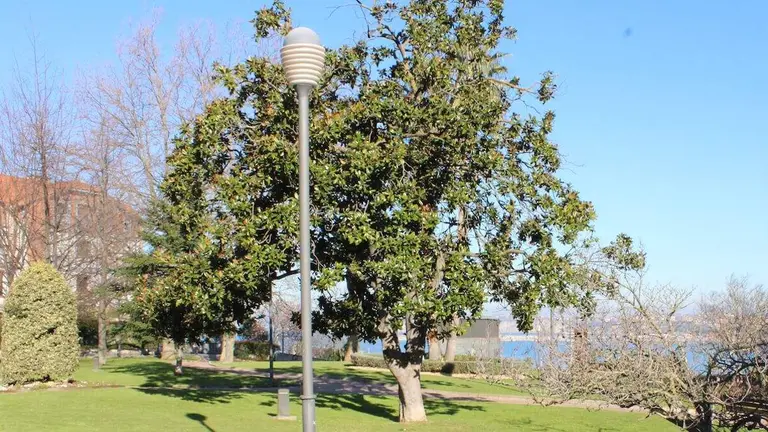 arbolado-santurtzi-ordenanza