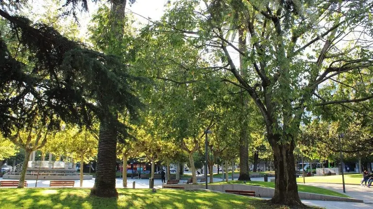ordenanza-proteccion-arbolado-santurtzi